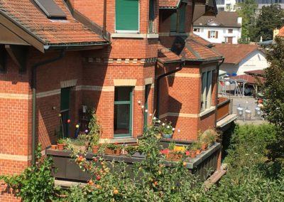 Obergeschosswohnung 3.5 (26)